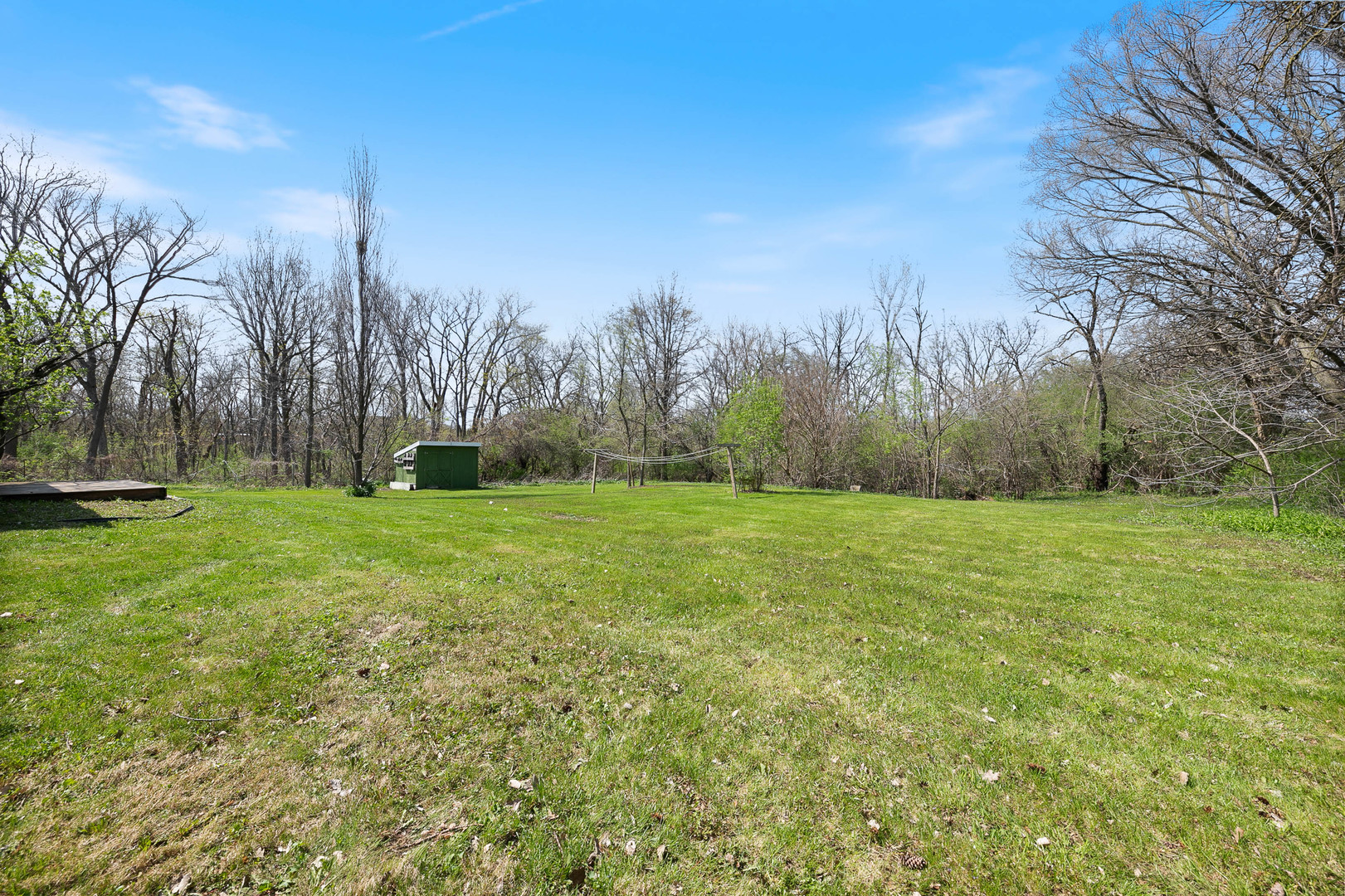 a view of a park with large trees