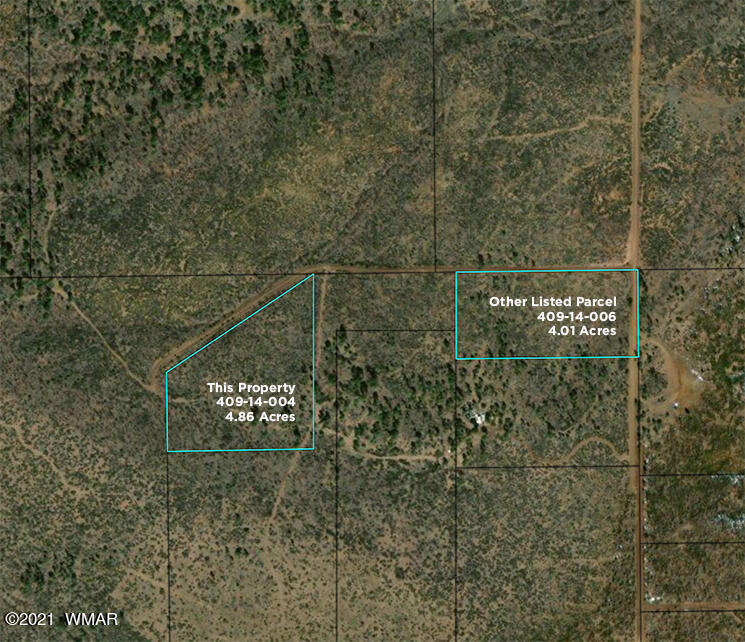1 Fieldy Show Low, AZ 85901 - Photo 2 of 12