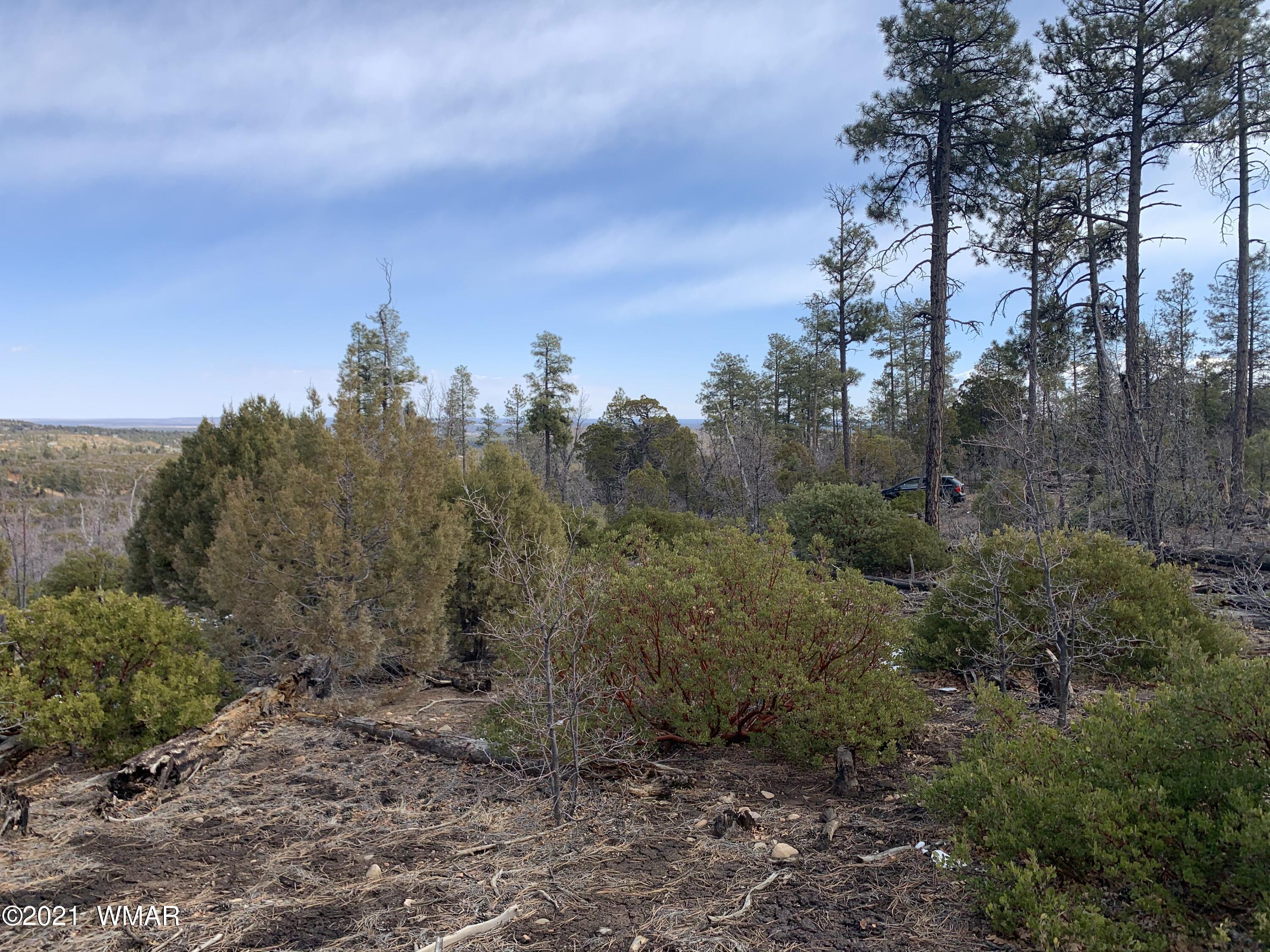 1 Fieldy Show Low, AZ 85901 - Photo 5 of 12