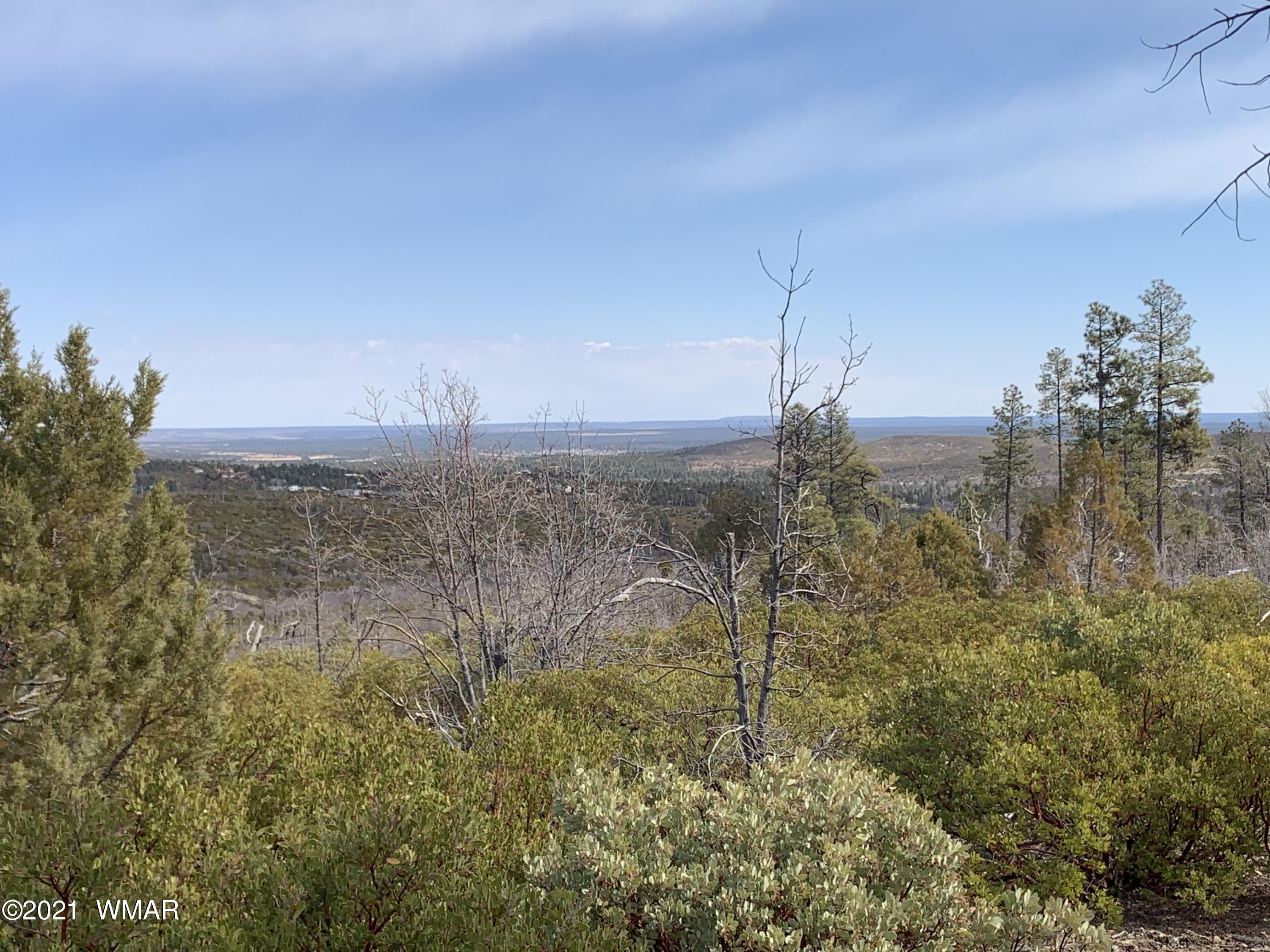 1 Fieldy Show Low, AZ 85901 - Photo 6 of 12