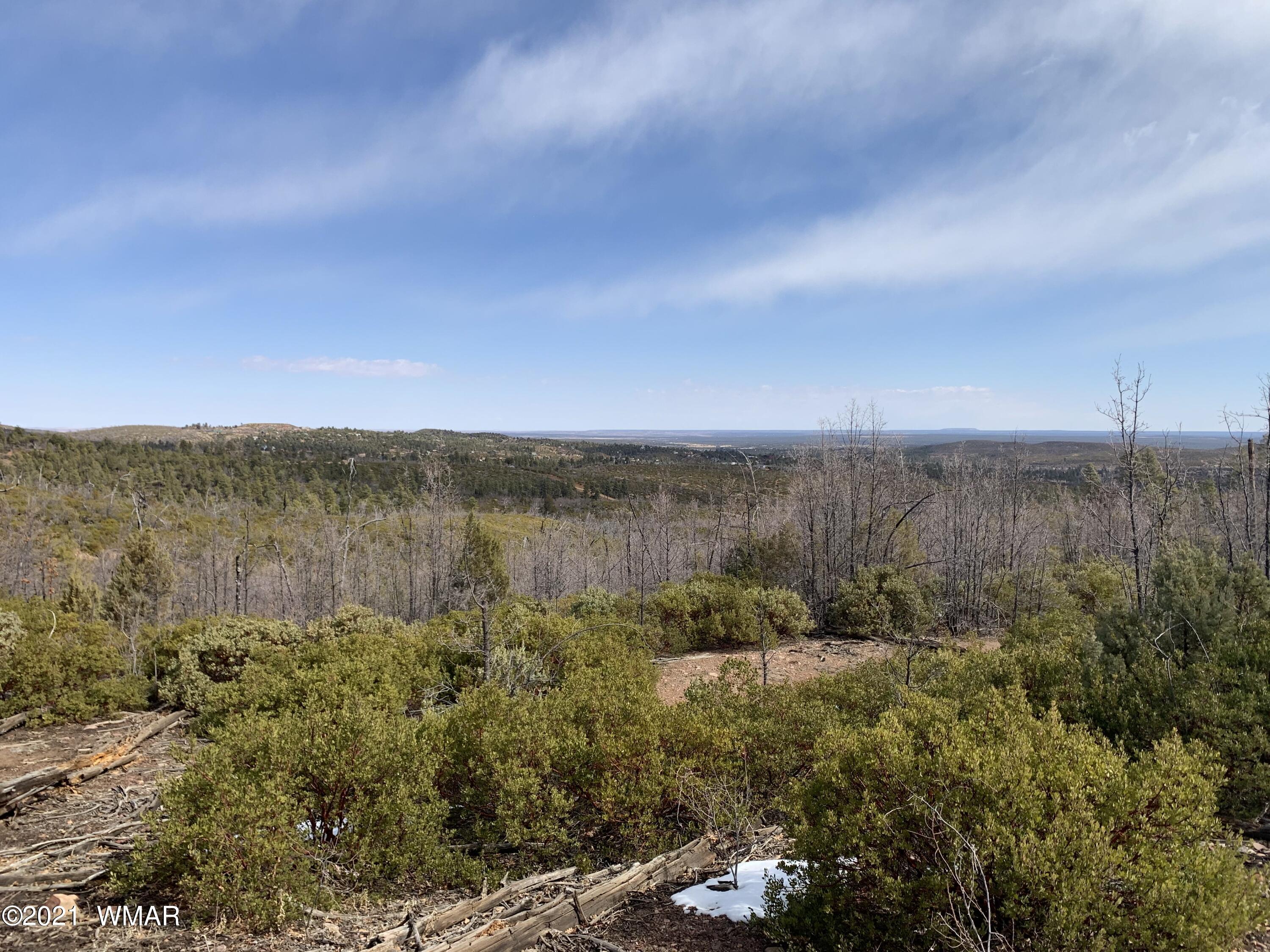 1 Fieldy Show Low, AZ 85901 - Photo 8 of 12