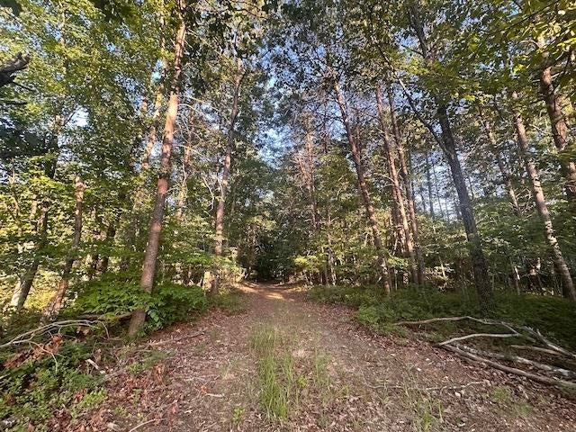 331 Bay Hill Road Louisa, VA 23093 - Photo 2 of 27 Gallery Image 2