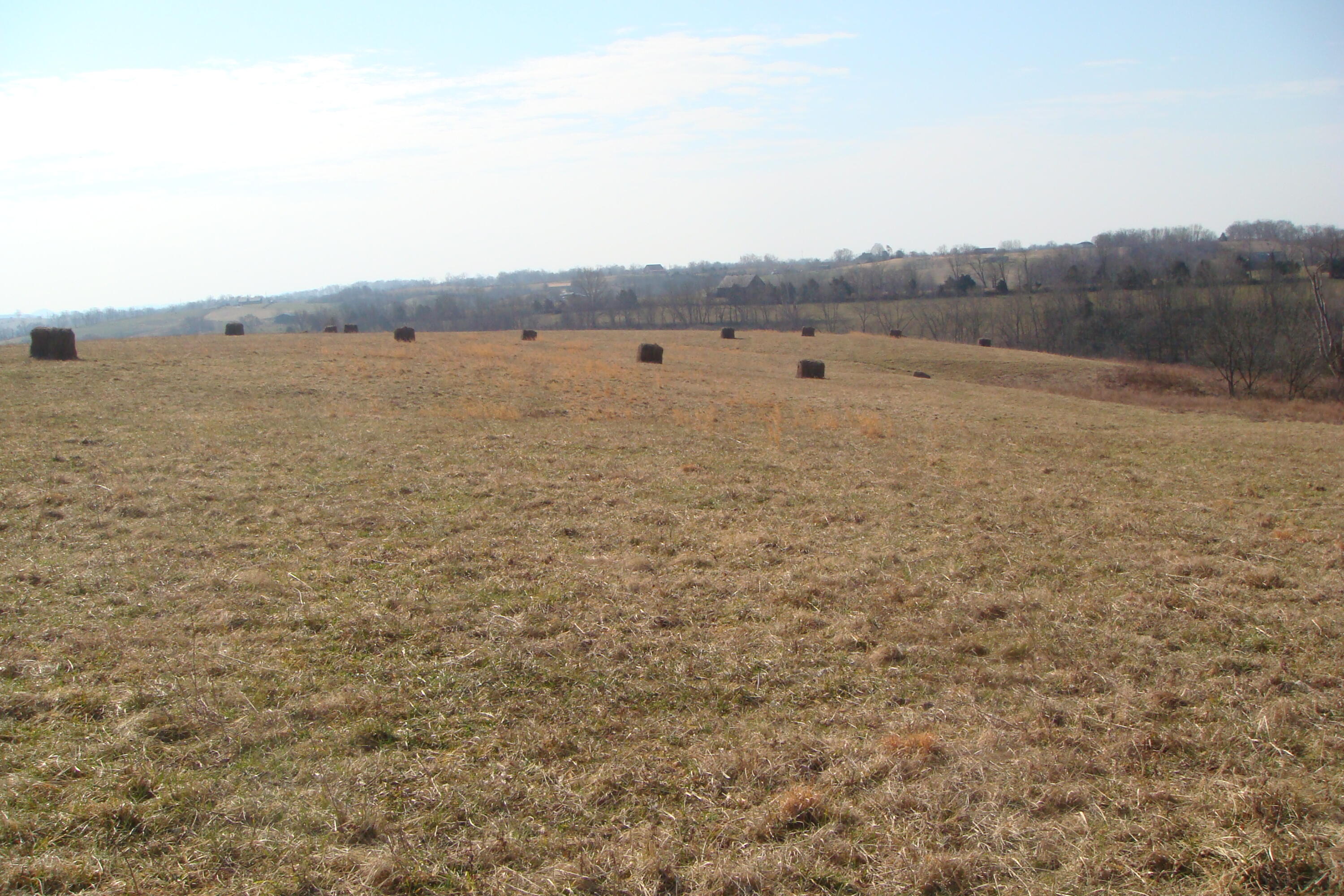 4037 Howards Mill Road Mount Sterling, KY 40353 - Photo 7 of 26 DSC07562