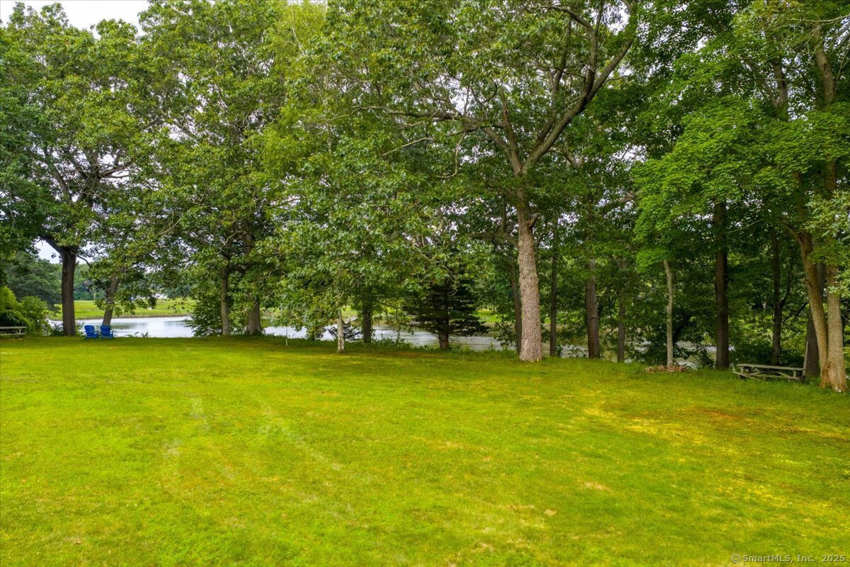 41 B River Road Essex, CT 06426 - Photo 12 of 16 a view of a trees with a trees