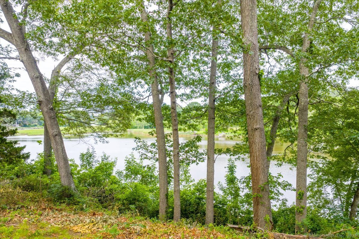 41 B River Road Essex, CT 06426 - Photo 15 of 16 a yard with tall trees