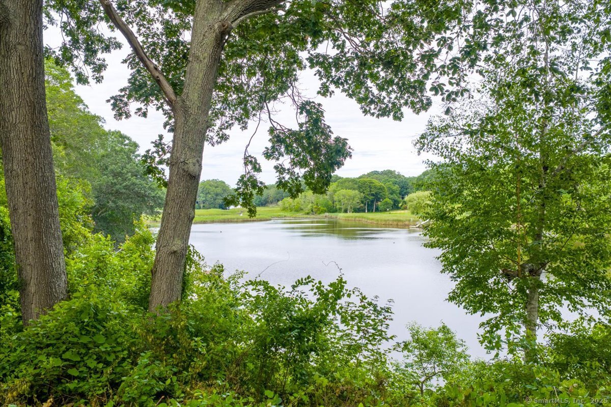 41 B River Road Essex, CT 06426 - Photo 10 of 16 a view of a yard
