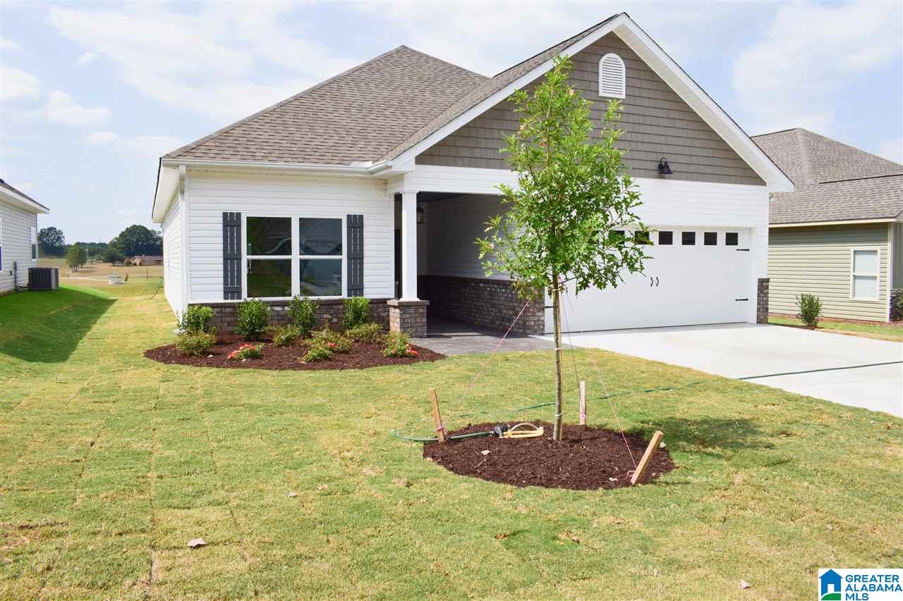 137 Sunset Lane Jemison, AL 35085 - Photo 2 of 47