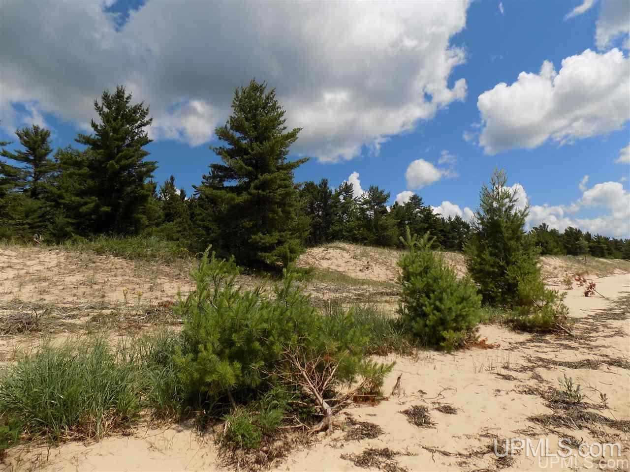 Tbd Top O Lake Road Gulliver, MI 49840 - Photo 24 of 38
