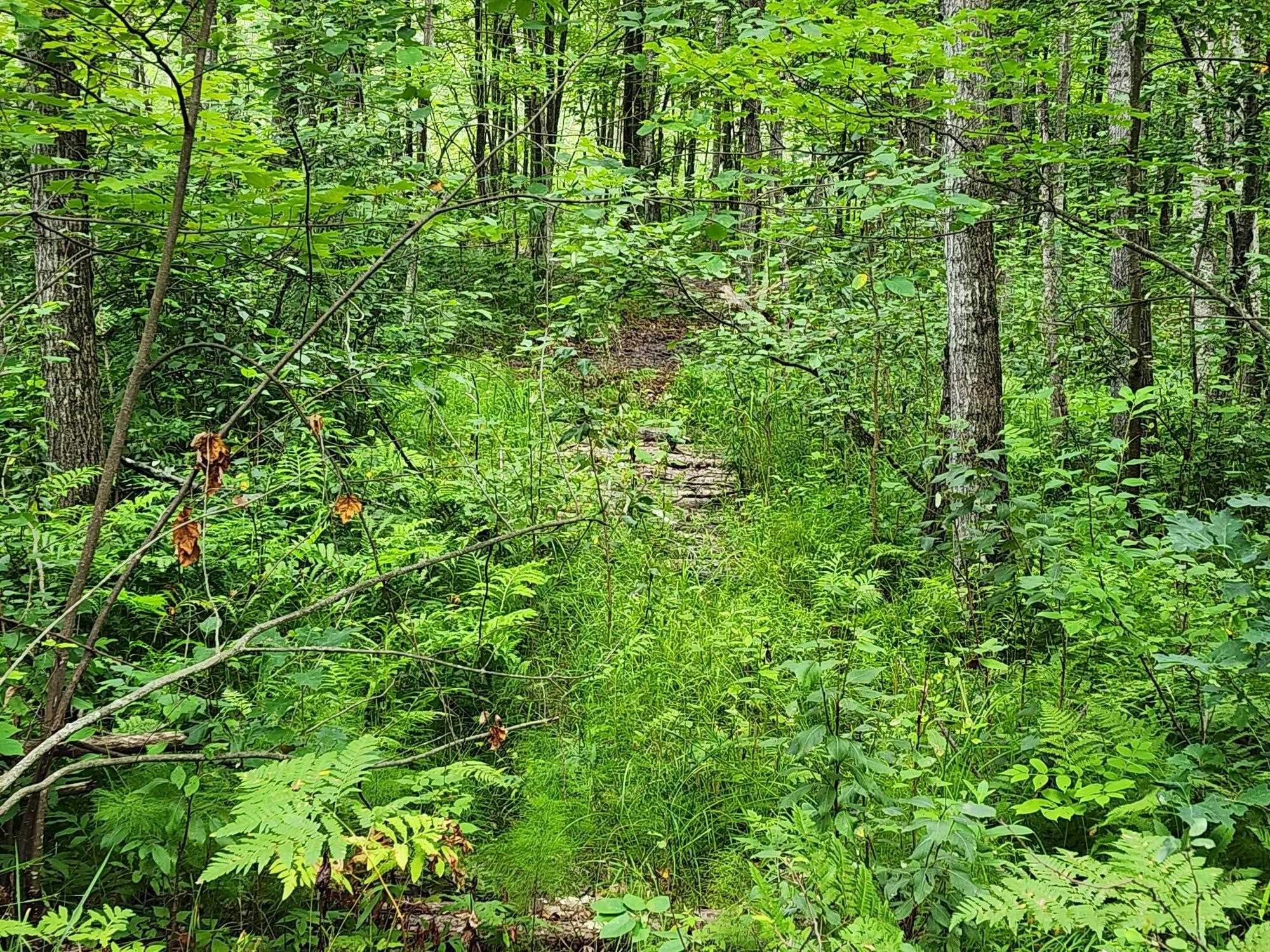 4011 Brodie Road South Branch, MI 48761 - Photo 18 of 25 1914195-18.JPG