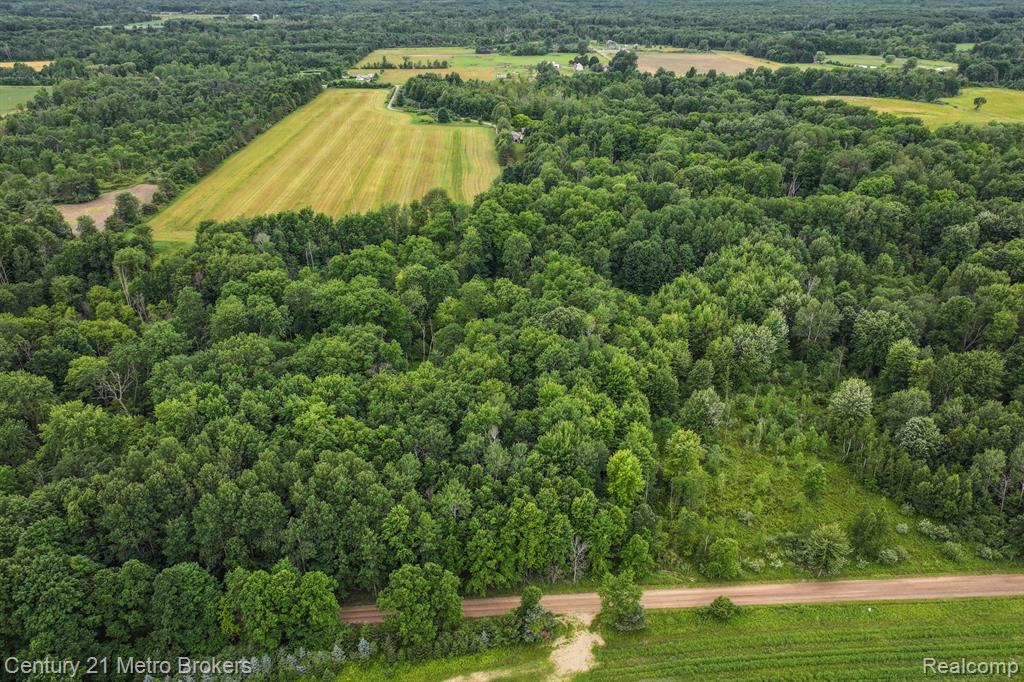 1585 South Phillips Road Deford, MI 48729 - Photo 39 of 76