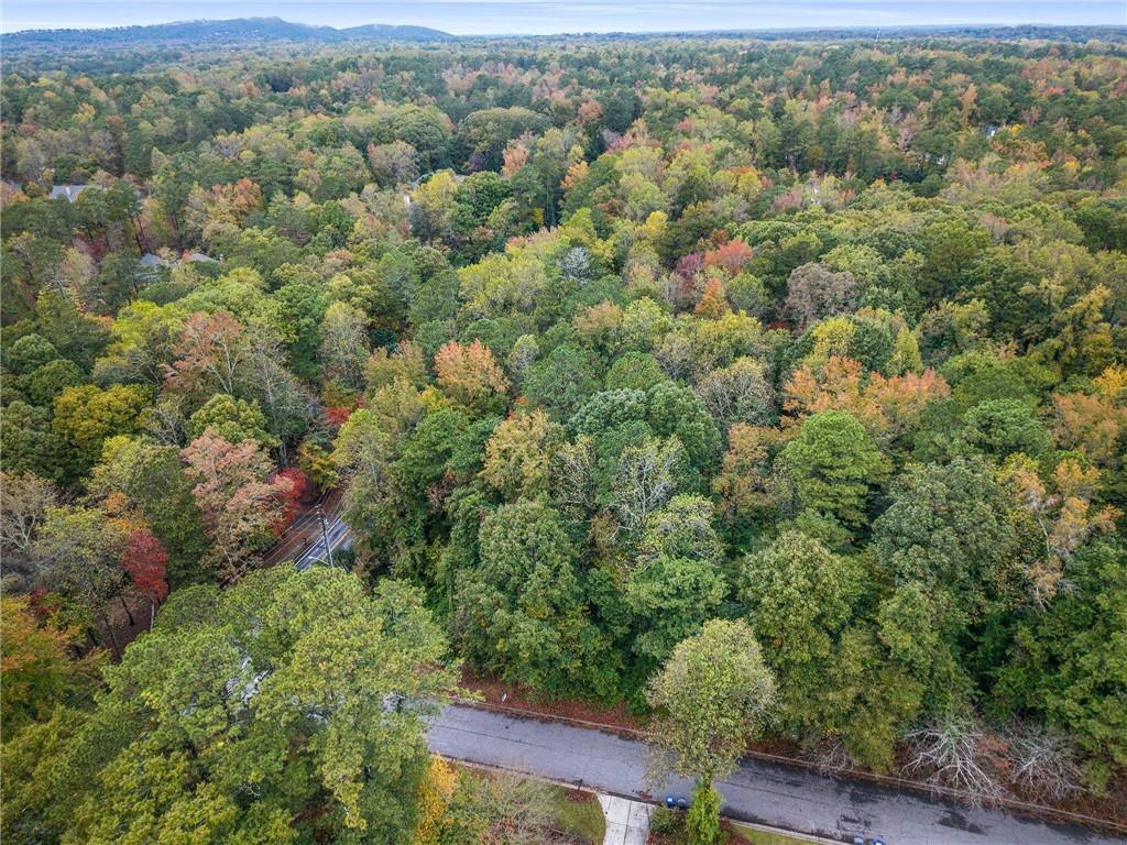 11115 Bowen Road Roswell, GA 30075 - Photo 3 of 12 an aerial view of forest