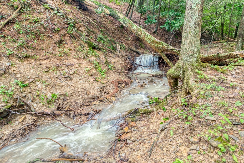 1143.5 Price Ridge Road, Unit 10 Bland, VA 24315 - Photo 68 of 69 Gallery Image 68