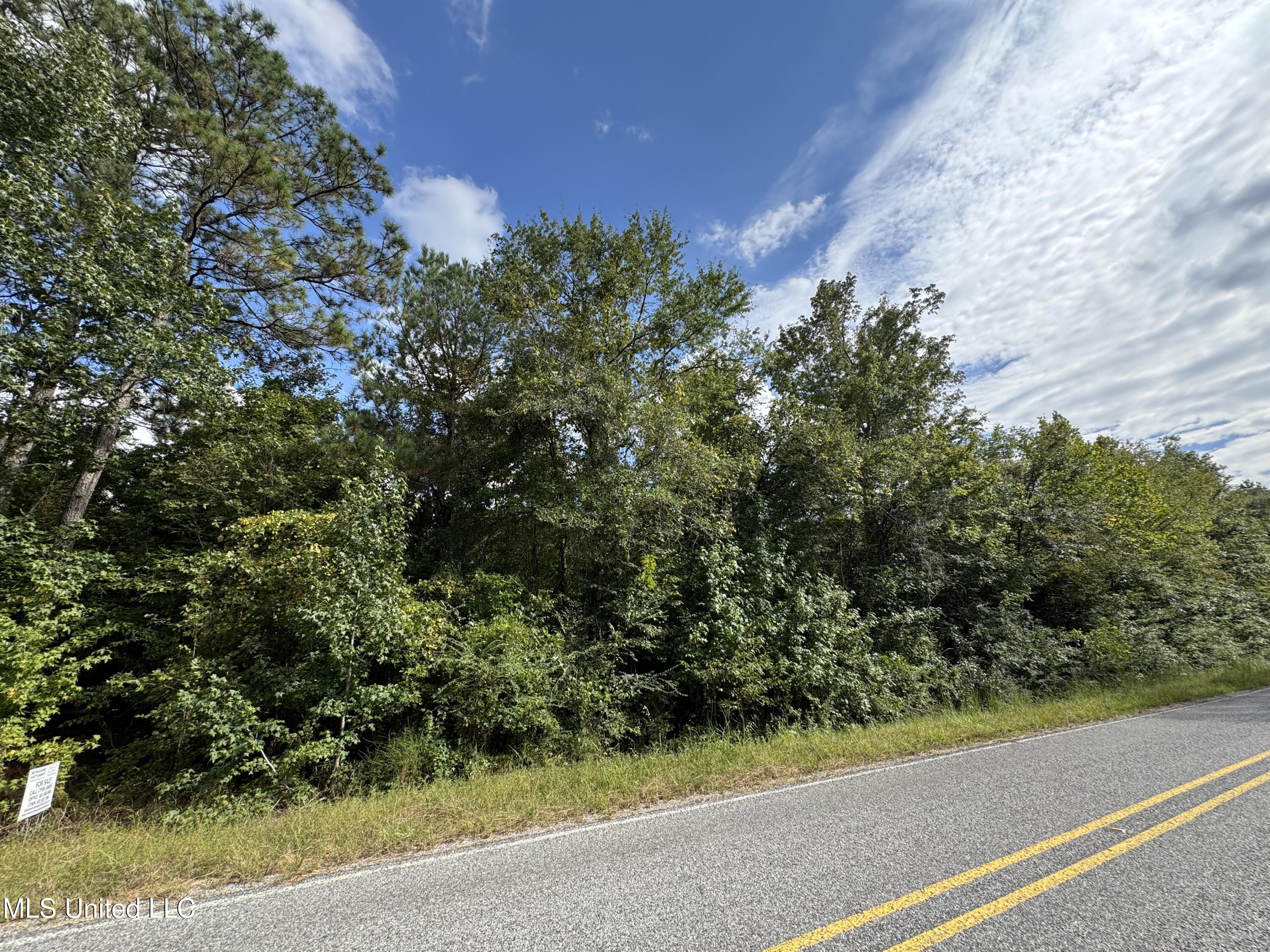 0 Gloster Road Meadville, MS 39653 - Photo 2 of 7 IMG_8719