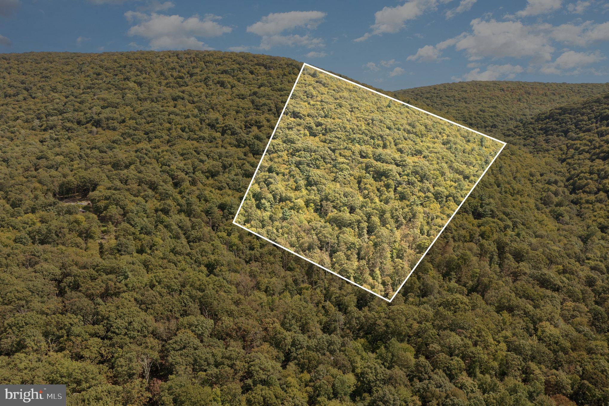 0 Wagner Road McClure, PA 17841 - Photo 7 of 7