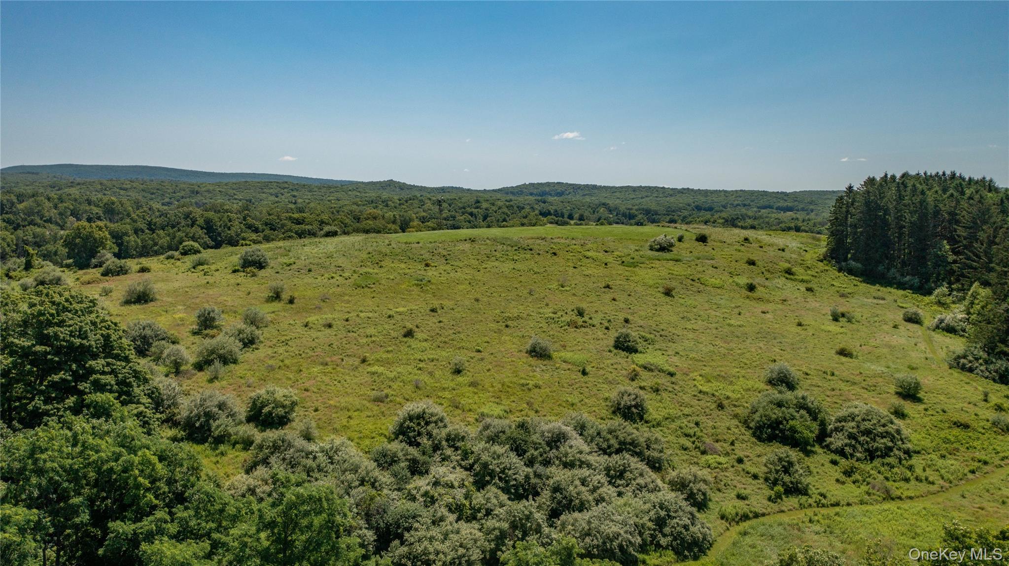 151 Rowe Road Red Hook, NY 12571 - Photo 26 of 35