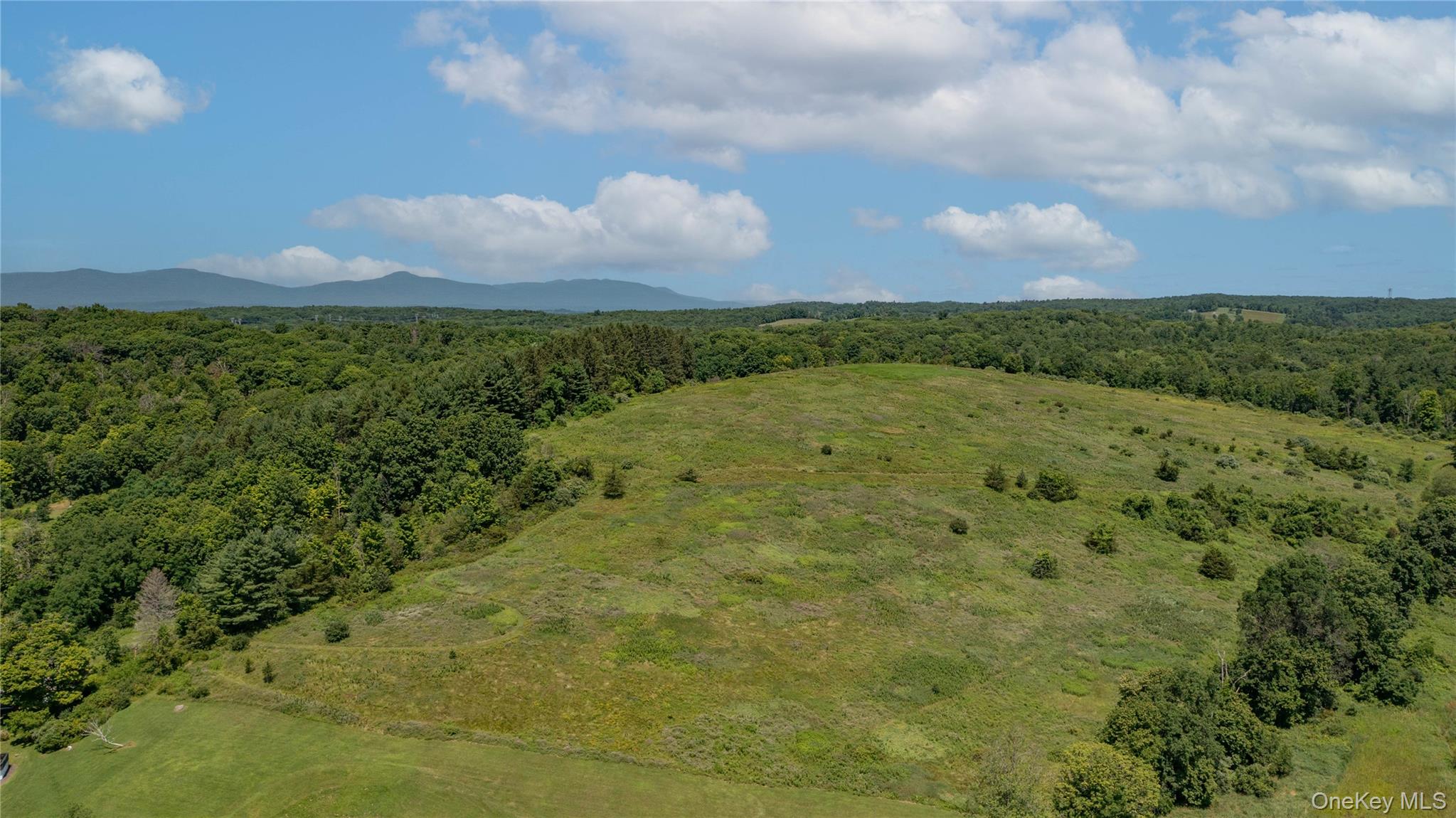 151 Rowe Road Red Hook, NY 12571 - Photo 28 of 35 a view of a field