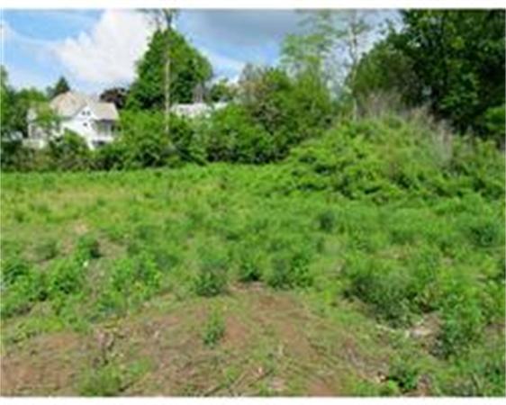 153-159 White Street Springfield, MA 01108 - Photo 5 of 8 a view of a forest with a street