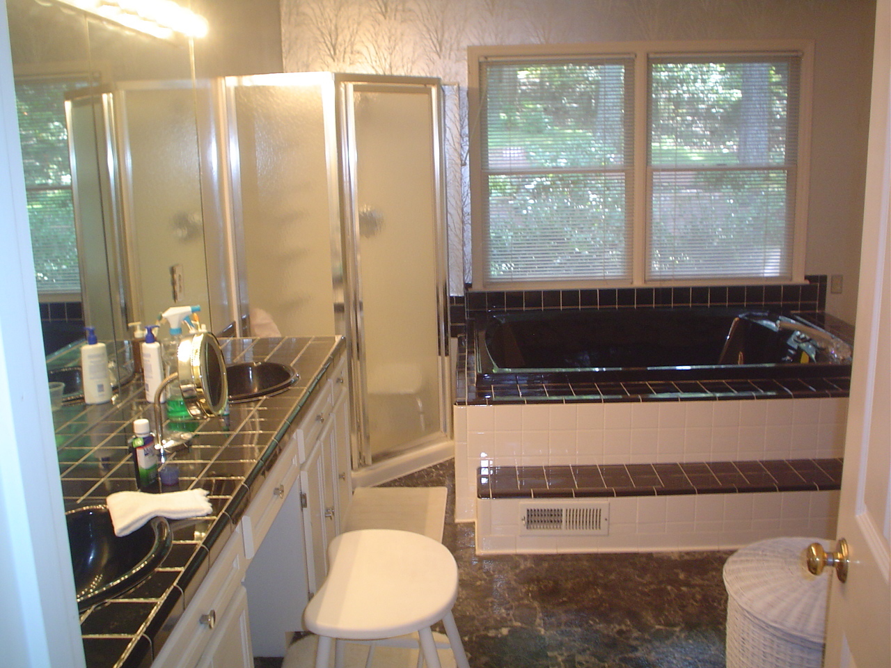 2895 Trinity Road Troutville, VA 24175 - Photo 21 of 25 21 Master Bath