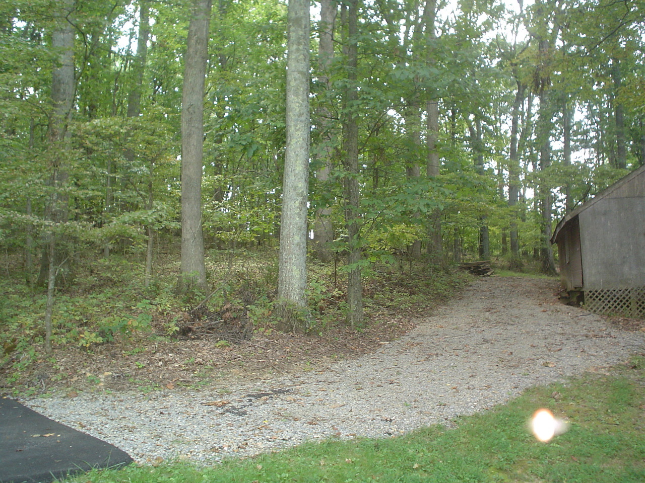 2895 Trinity Road Troutville, VA 24175 - Photo 10 of 25 10 Wooded