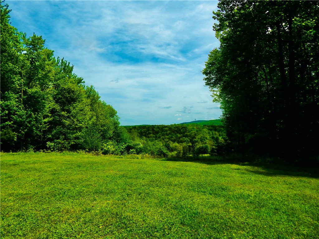 108 Toy Farm Road Hartwick, NY 13348 - Photo 3 of 25