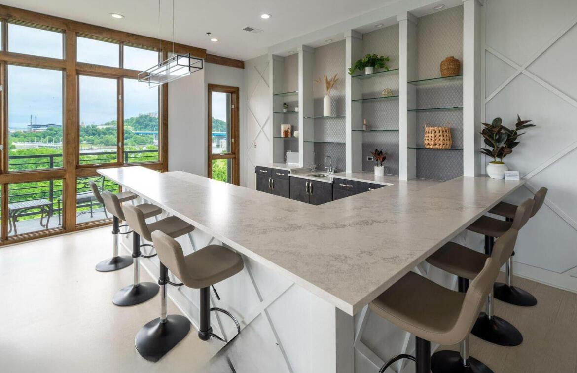 200 Manufacturers Road, Unit 342 Chattanooga, TN 37405 - Photo 4 of 21 Wet Bar