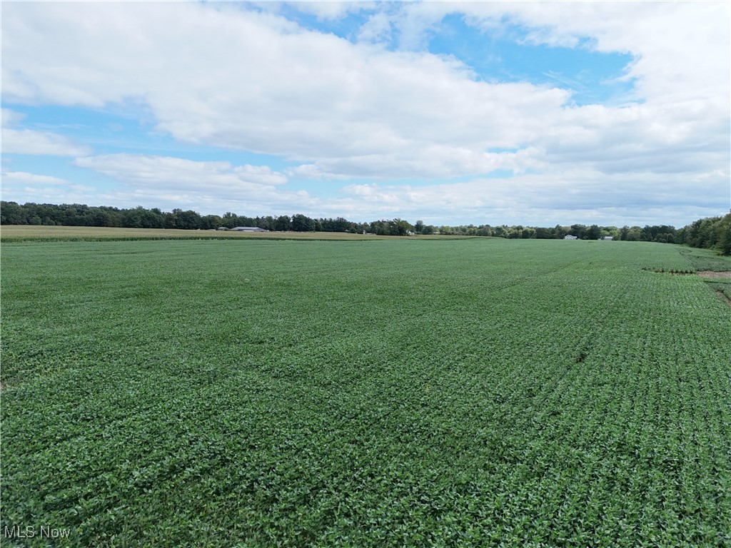 Fletcher Road Middlefield, OH 44062 - Photo 25 of 48 View of yard featuring a view of countryside