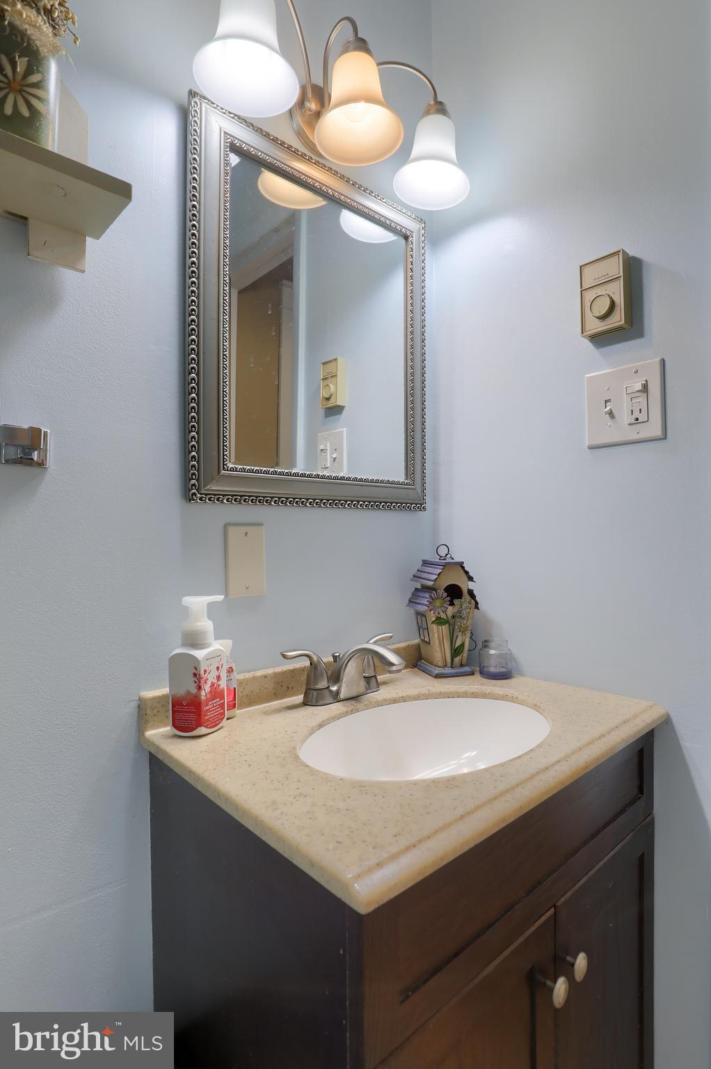 465 Crosswinds Drive Lititz, PA 17543 - Photo 17 of 30 a bathroom with a sink and a mirror