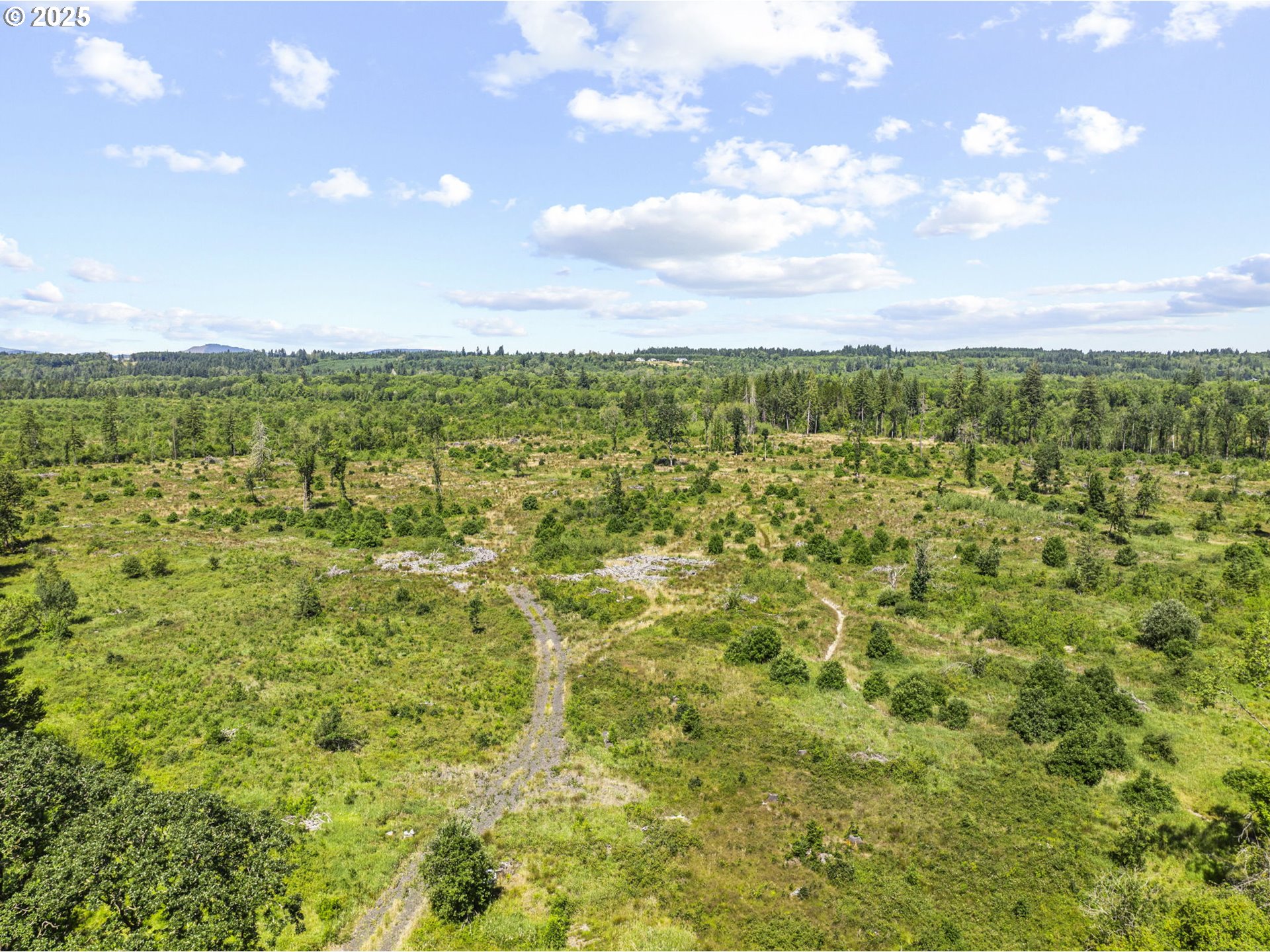 0 Sareault Road Toledo, WA 98591 - Photo 2 of 7