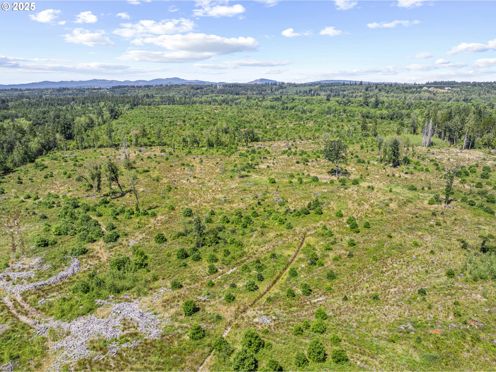 0 Sareault Road Toledo, WA 98591 - Photo 3 of 7