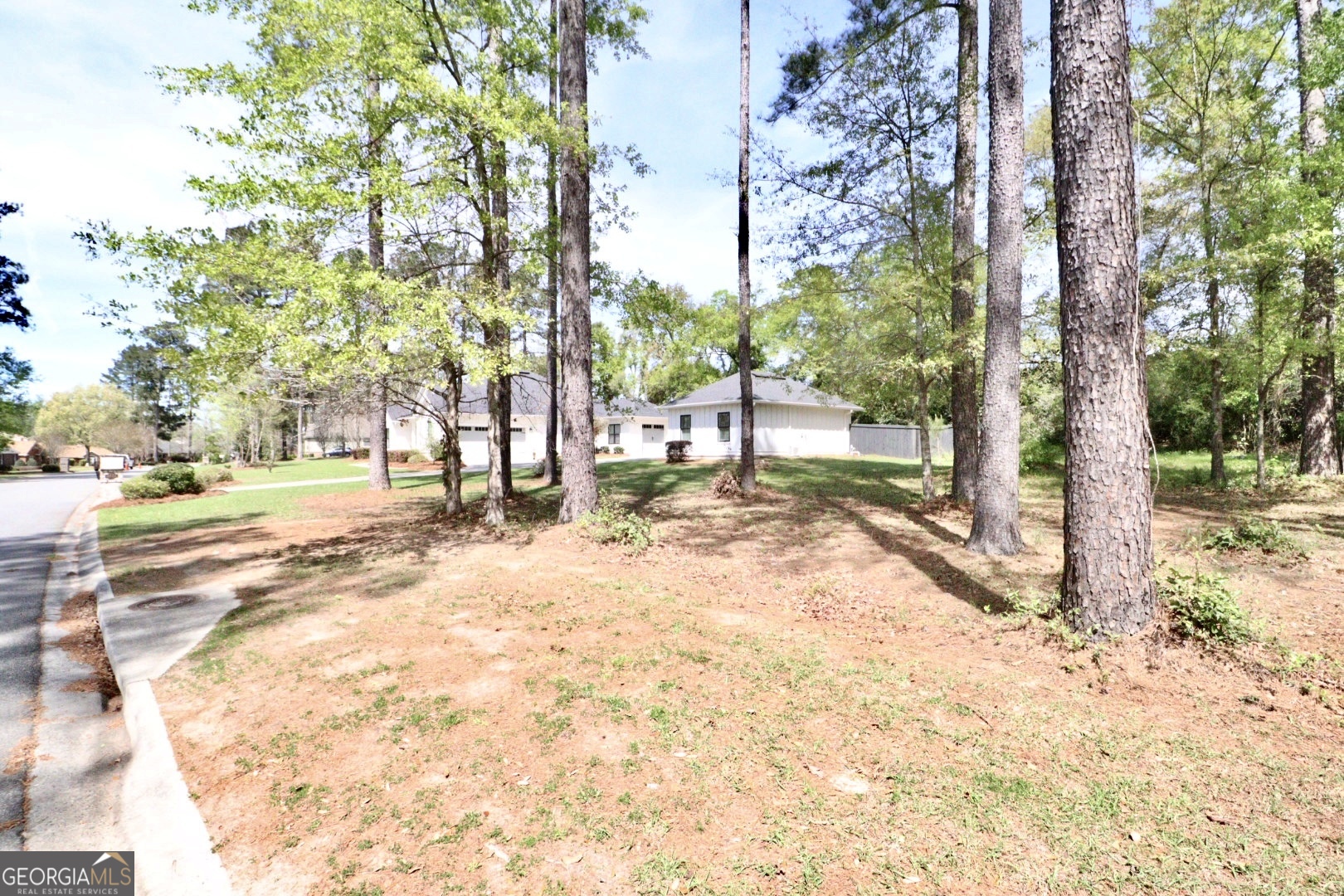 4271 Tillman Bluff Road Valdosta, GA 31602 - Photo 11 of 101