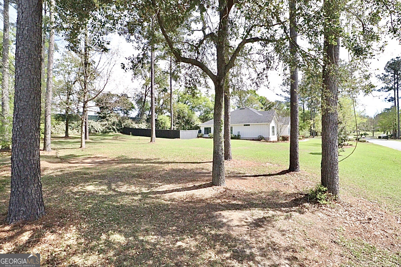 4271 Tillman Bluff Road Valdosta, GA 31602 - Photo 6 of 101