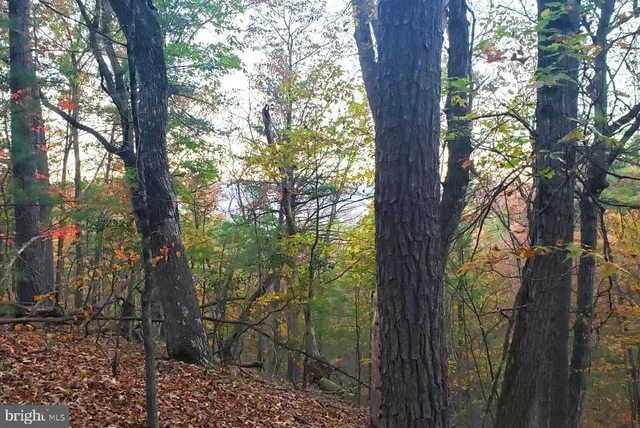 $24,500 | 0 Fairway Drive, Unit LOT 30, Mount Jackson, VA 22842