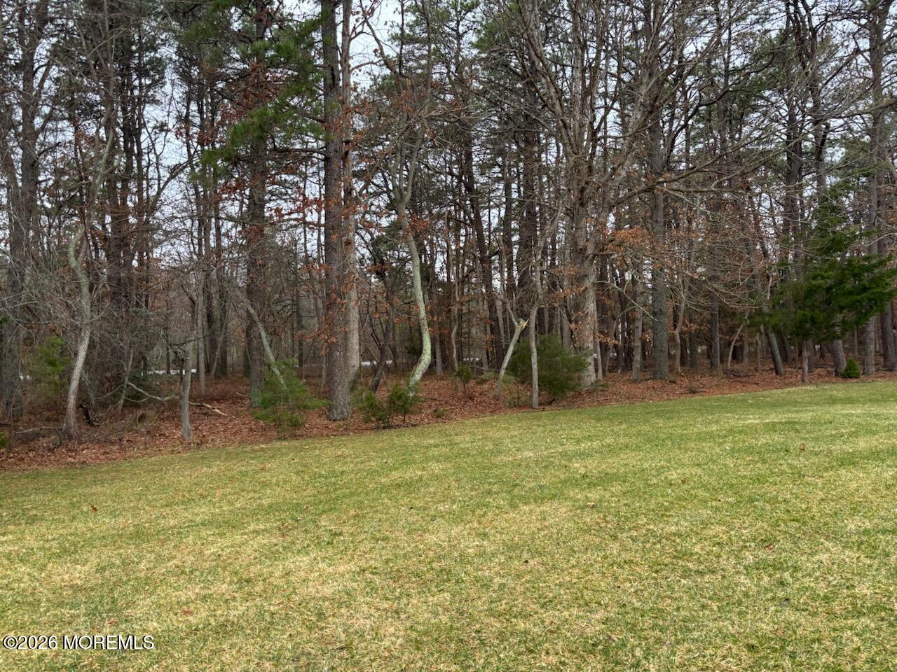 34 Clear Lake Road Whiting, NJ 08759 - Photo 8 of 50 IMG_3999