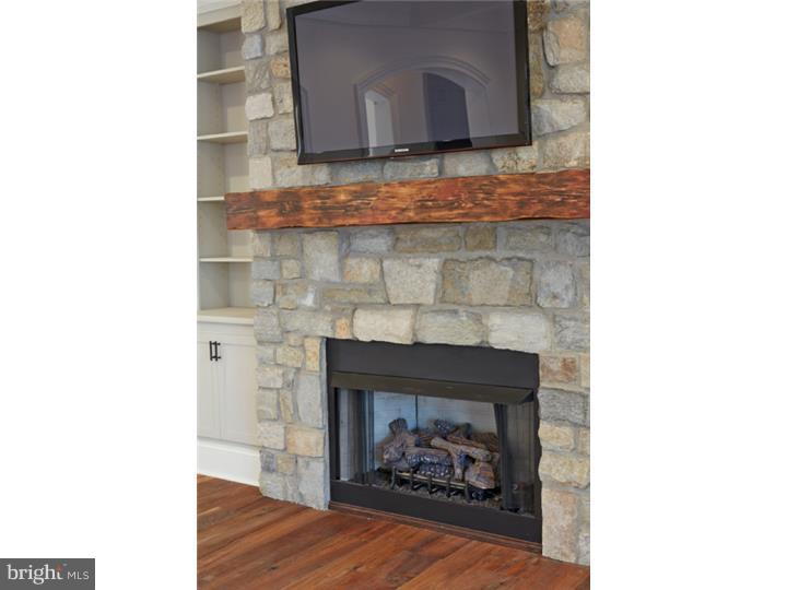 513 Webb Road Chadds Ford, PA 19317 - Photo 9 of 25 Fireplace