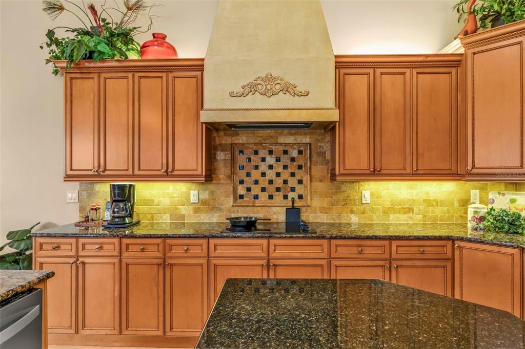 5021 Sable Key Circle Punta Gorda, FL 33955 - Photo 24 of 77 a kitchen with granite countertop a sink stainless steel appliances and cabinets
