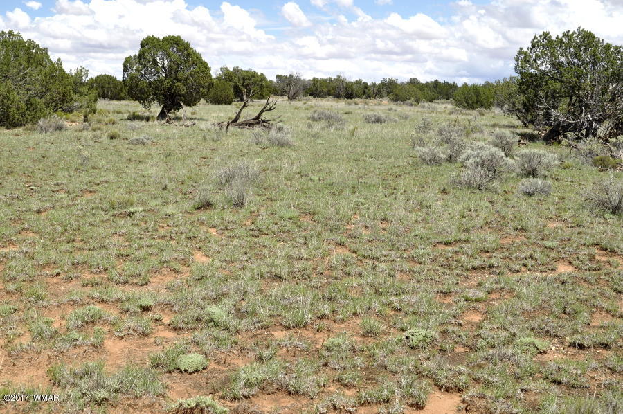 3735 Bum Heel Ranch Road Heber, AZ 85928 - Photo 3 of 11 Gallery Image 3