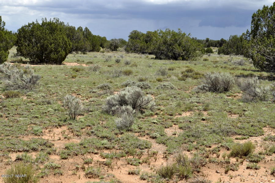3735 Bum Heel Ranch Road Heber, AZ 85928 - Photo 5 of 11 Gallery Image 5