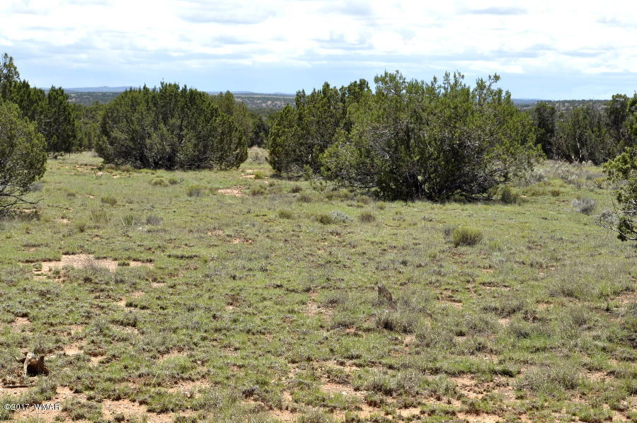 3735 Bum Heel Ranch Road Heber, AZ 85928 - Photo 6 of 11 Gallery Image 6