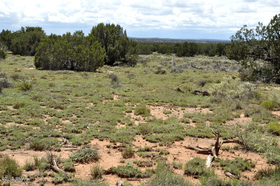 3735 Bum Heel Ranch Road Heber, AZ 85928 - Photo 7 of 11 Gallery Image 7