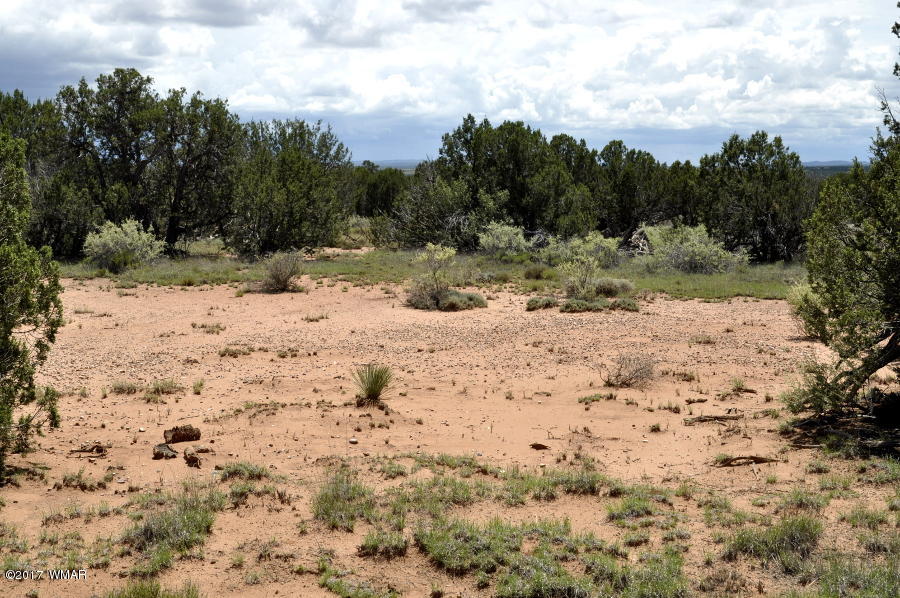 3735 Bum Heel Ranch Road Heber, AZ 85928 - Photo 8 of 11 Gallery Image 8