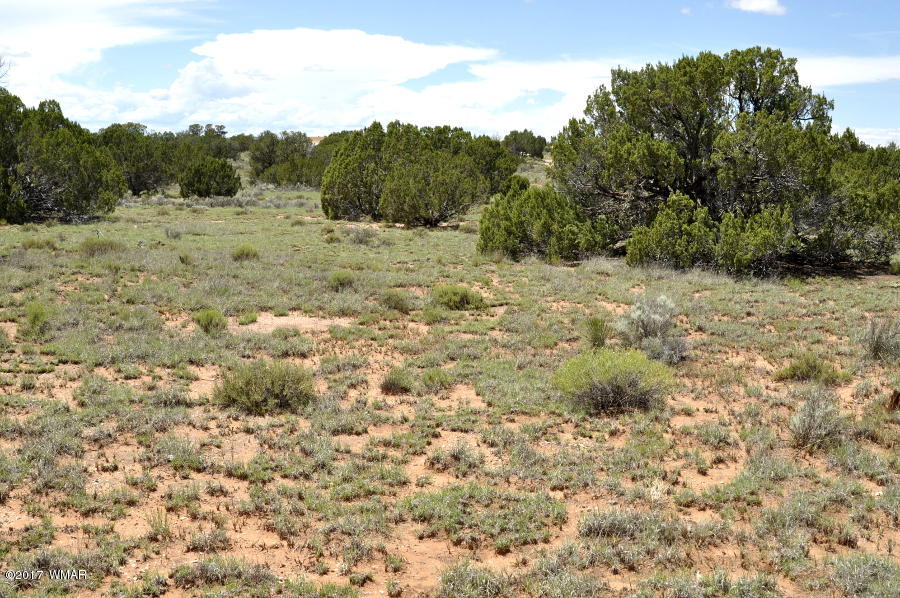 3735 Bum Heel Ranch Road Heber, AZ 85928 - Photo 9 of 11 Gallery Image 9