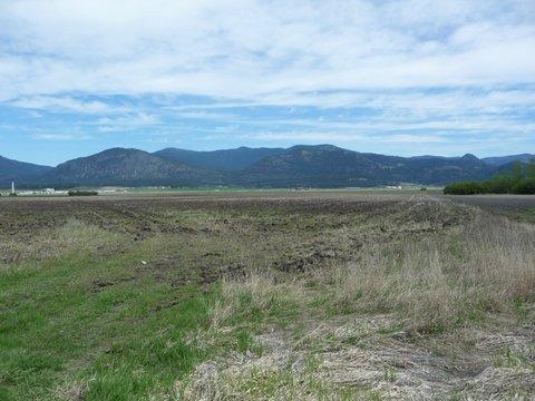 0 Heine Road Chewelah, WA 99109 - Photo 3 of 4 Gallery Image 3