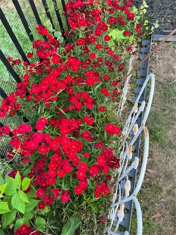 $460,000 | 711 Ashley Wilkes Way, Loganville, GA 30052