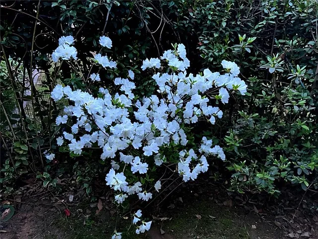 $460,000 | 711 Ashley Wilkes Way, Loganville, GA 30052