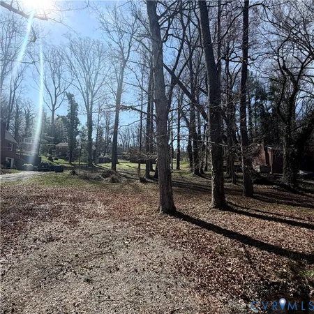a view of a backyard with trees