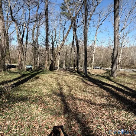 a view of a yard with large trees