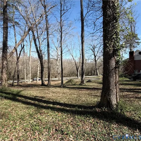 a view of a backyard with large trees