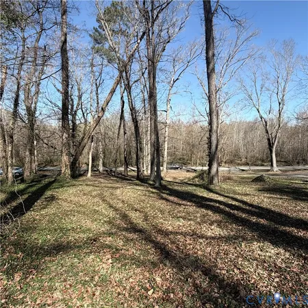 a view of a yard with trees