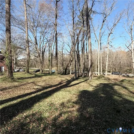 a view of backyard with large trees