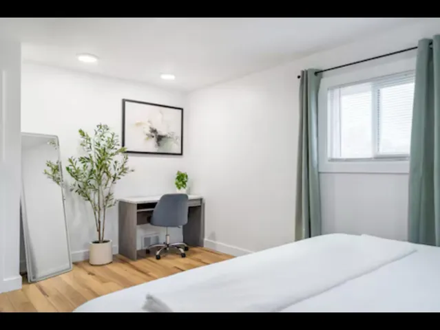 a workspace with furniture and a potted plant